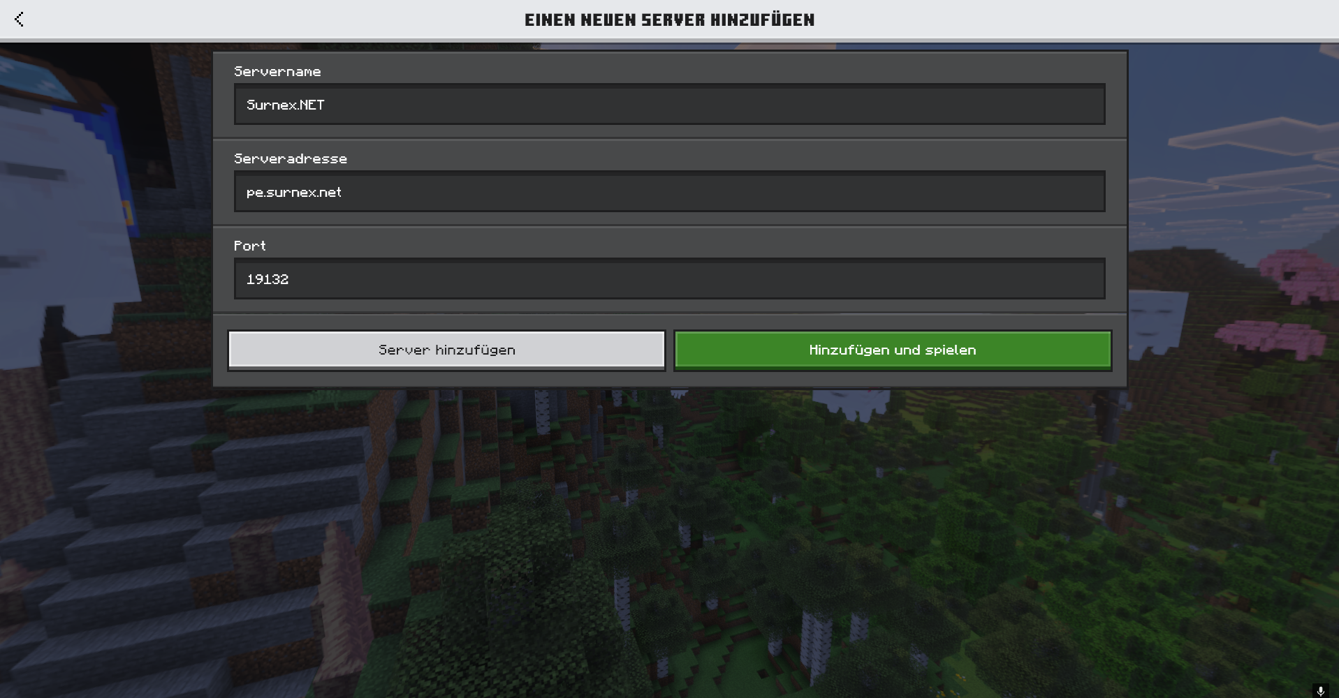Bedrock Server Beitreten